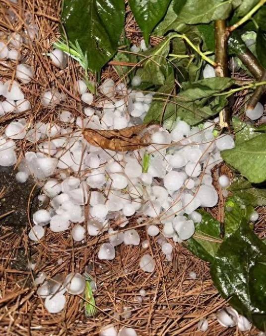 5·9威宁突降冰雹事件