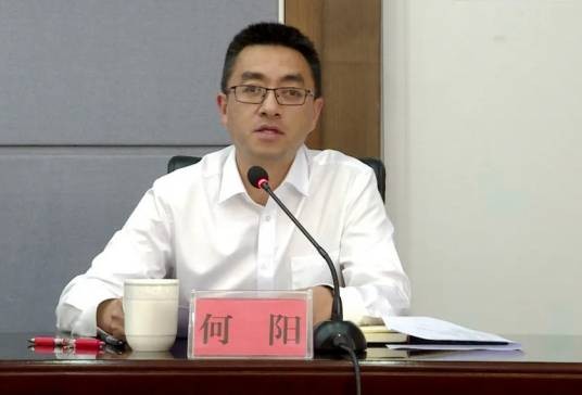 何阳（云南省红河哈尼族彝族自治州绿春县委书记）