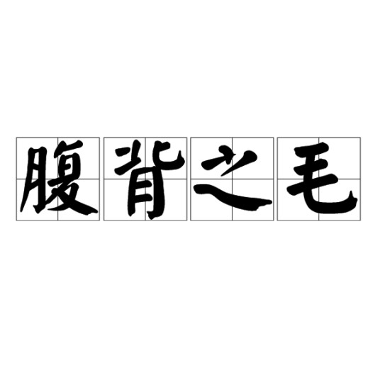 腹背之毛