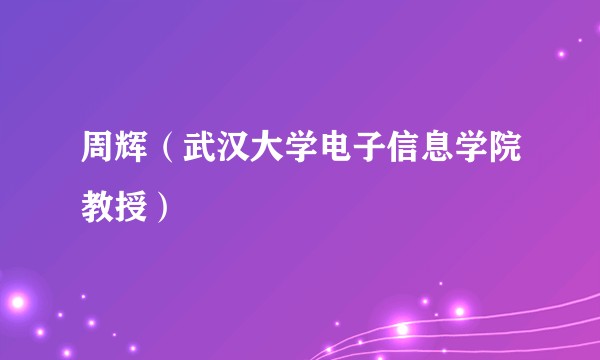 周辉（武汉大学电子信息学院教授）