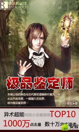 极品鉴定师