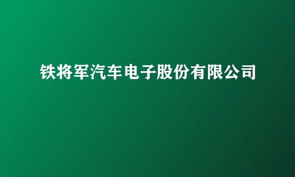 铁将军汽车电子股份有限公司