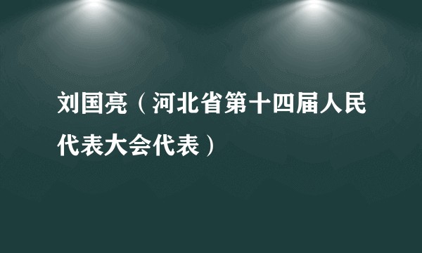 刘国亮（河北省第十四届人民代表大会代表）
