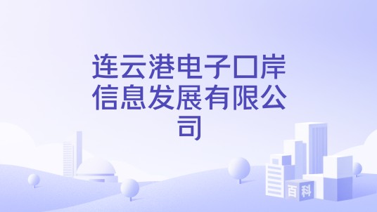 连云港电子口岸信息发展有限公司