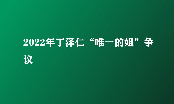 2022年丁泽仁“唯一的姐”争议