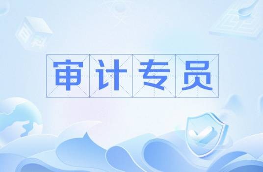 审计专员