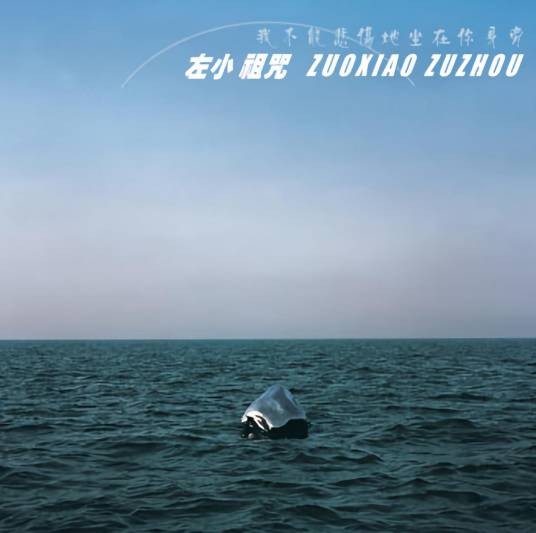 我不能悲伤地坐在你身旁（2005年左小祖咒发行的音乐专辑）