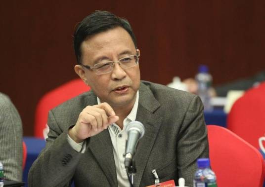 杨瀚(爱国将领杨虎城将军之孙,西安事变研究会原会长)