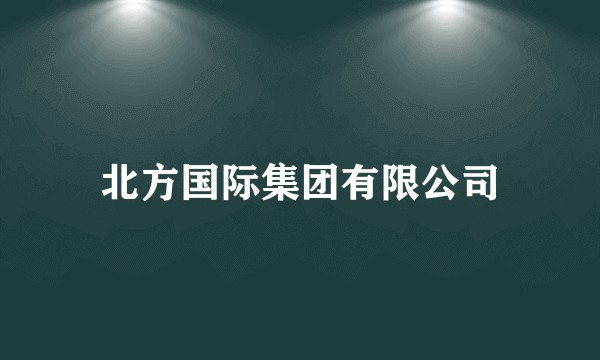 北方国际集团有限公司