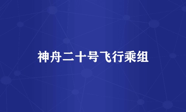 神舟二十号飞行乘组