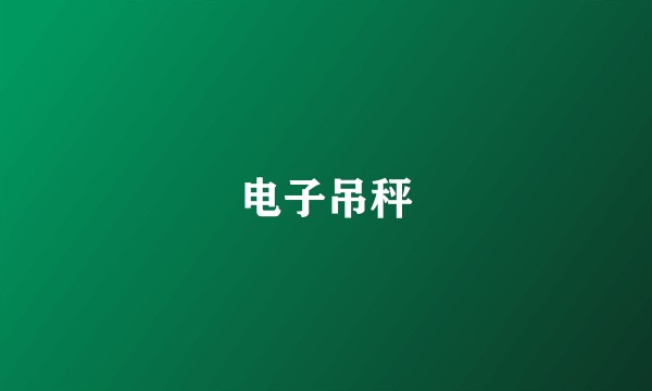 电子吊秤