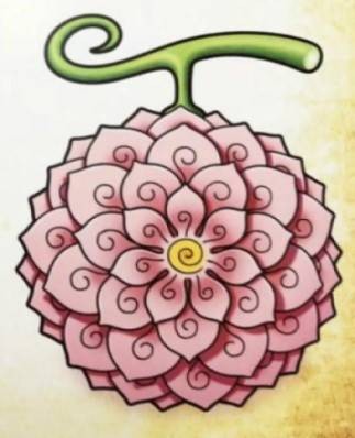 花花果实