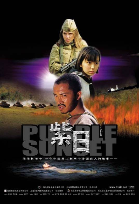 紫日（2001年冯小宁执导的电影）