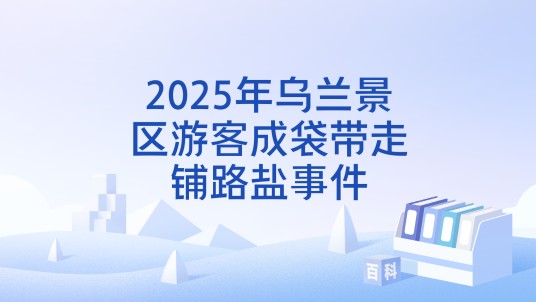 2025年乌兰景区游客成袋带走铺路盐事件