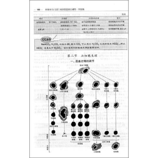 同等学力考研