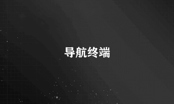 导航终端