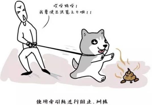 狗吃屎