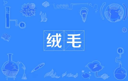 绒毛（柔软纤细的毛）
