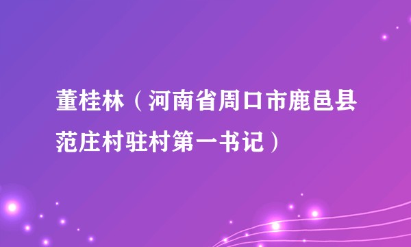 董桂林（河南省周口市鹿邑县范庄村驻村第一书记）