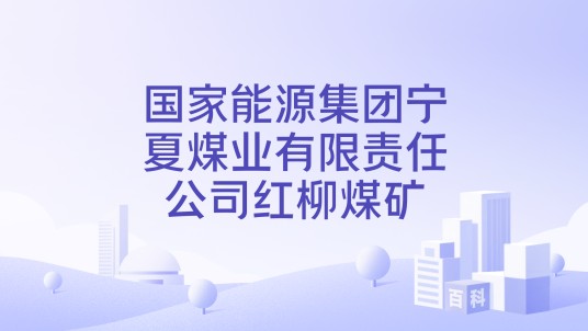 国家能源集团宁夏煤业有限责任公司红柳煤矿