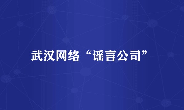 武汉网络“谣言公司”