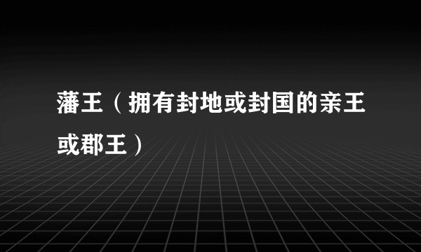 藩王（拥有封地或封国的亲王或郡王）