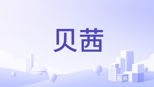 贝茜（服装品牌）