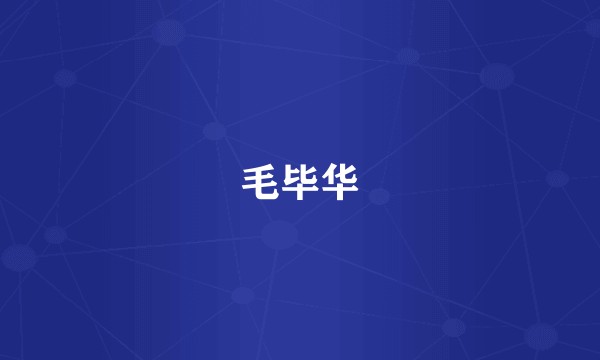 毛毕华