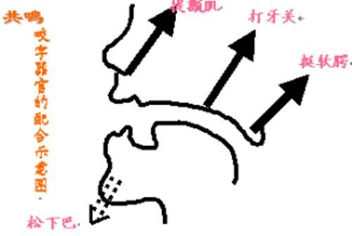 头腔共鸣