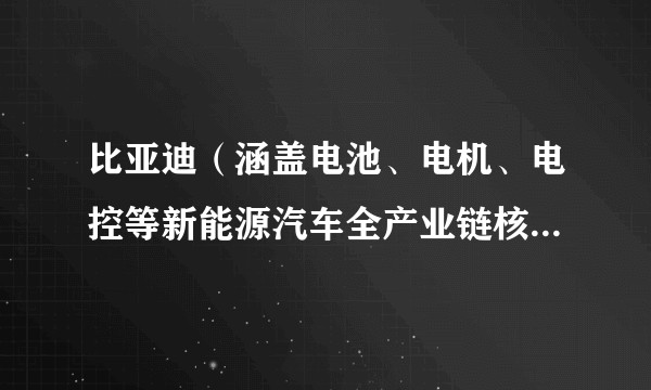 比亚迪（涵盖电池、电机、电控等新能源汽车全产业链核心技术的中国品牌）
