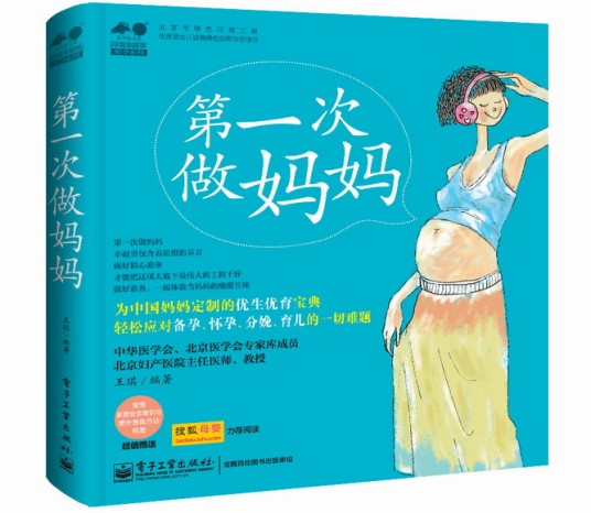 第一次做妈妈（2014年电子工业出版社出版的图书）
