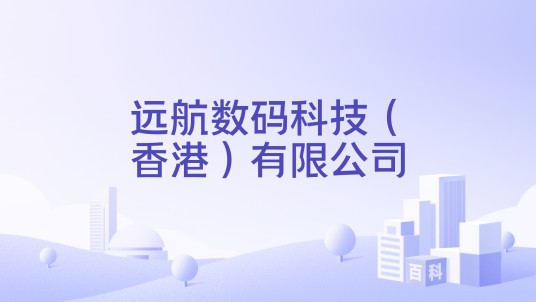远航数码科技（香港）有限公司