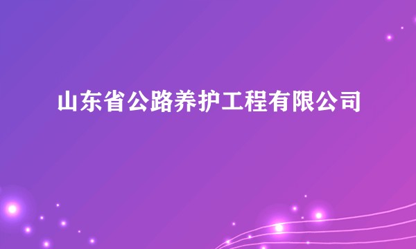 山东省公路养护工程有限公司