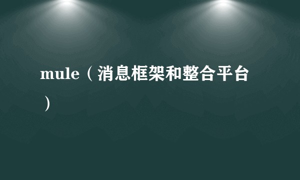 mule（消息框架和整合平台）