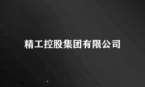 精工控股集团有限公司