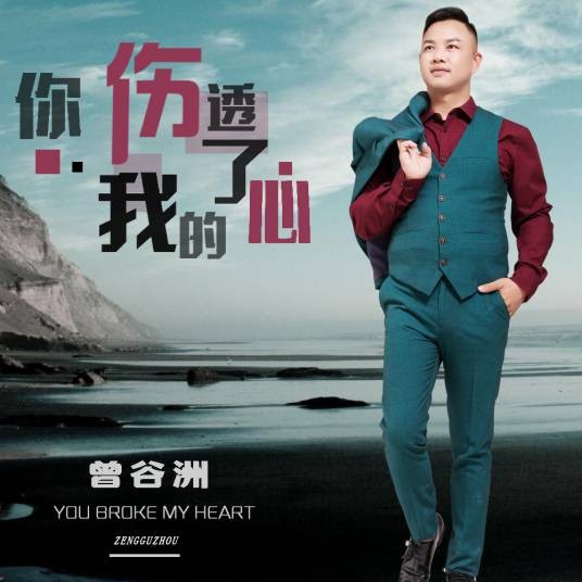 你伤透了我的心