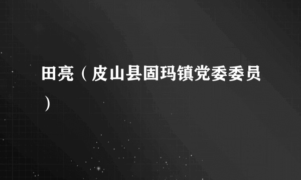 田亮（皮山县固玛镇党委委员）