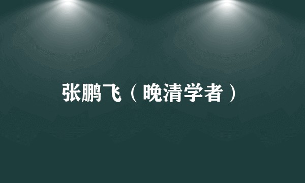 张鹏飞（晚清学者）