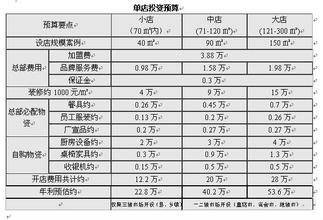 投资预算