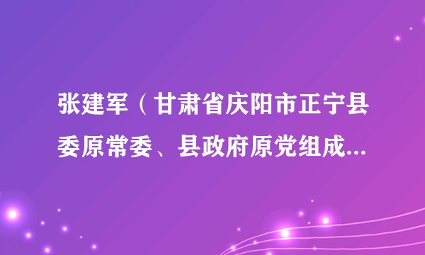 张建军（甘肃省庆阳市正宁县委原常委、县政府原党组成员、副县长（挂职））