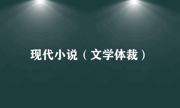 现代小说（文学体裁）
