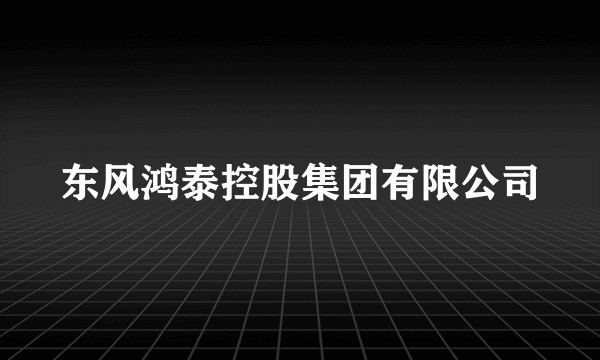 东风鸿泰控股集团有限公司