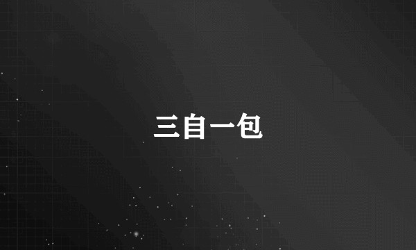 三自一包