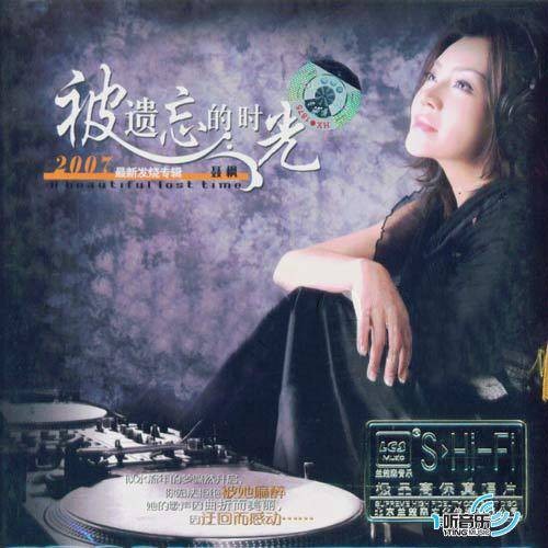 被遗忘的时光(2009年国际文化出版公司出版的图书)