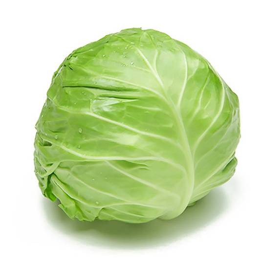 甘蓝（十字花科芸薹属植物）
