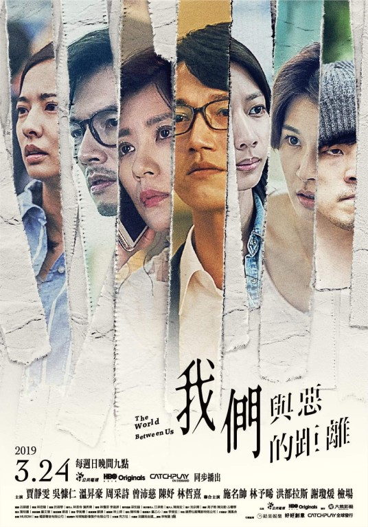 我们与恶的距离（2019年林君阳执导的社会写实电视剧）