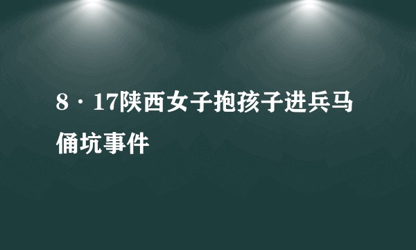 8·17陕西女子抱孩子进兵马俑坑事件