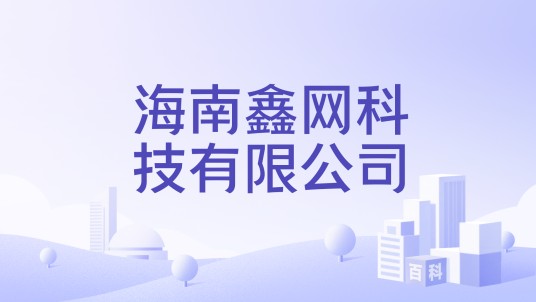 海南鑫网科技有限公司