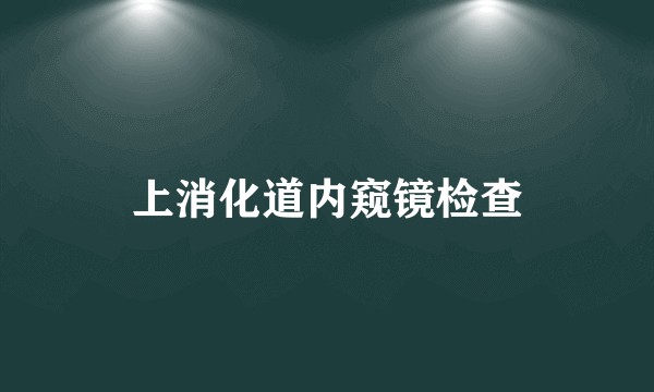 上消化道内窥镜检查