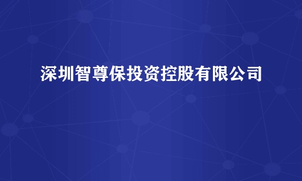 深圳智尊保投资控股有限公司